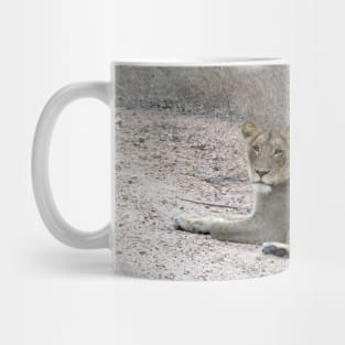 My African Safari - Lion in Dirt Road Mug